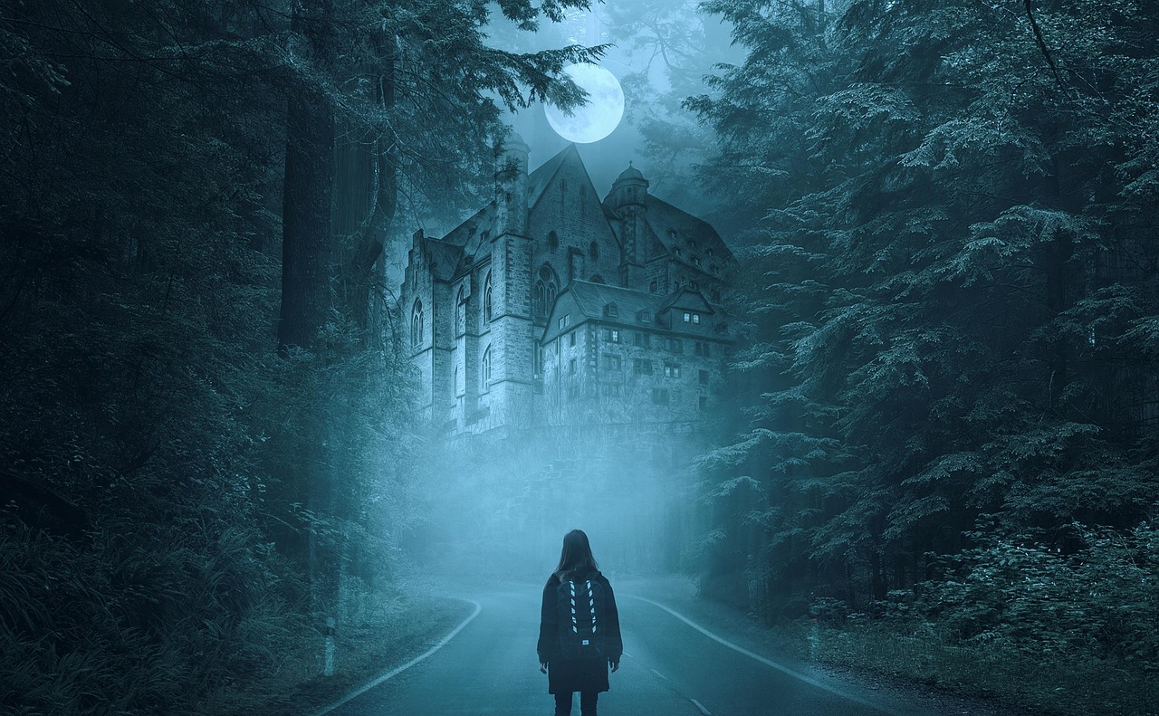 evergreen mountains night